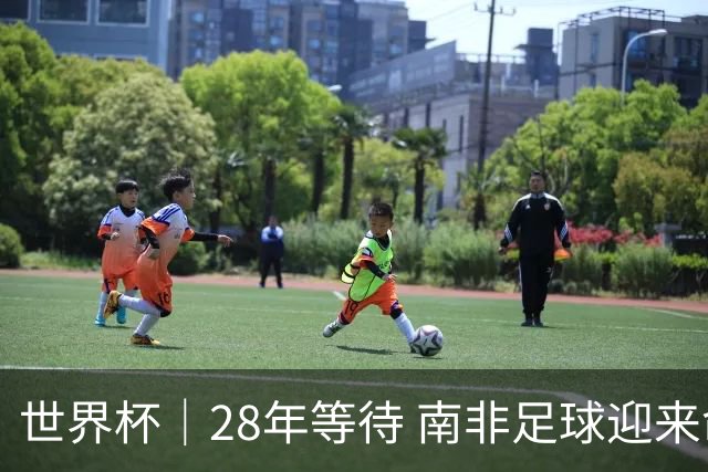 世界杯｜28年等待 南非足球迎来命运转折