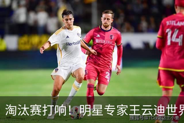 淘汰赛打响！明星专家王云迪世界杯7连红领衔红单